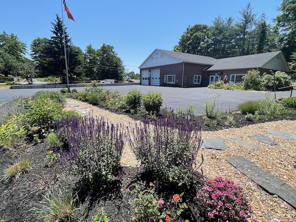 Library/FD parking lot