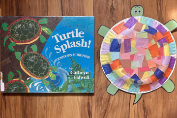 Turtle Splash