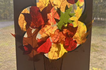 Leafy tree