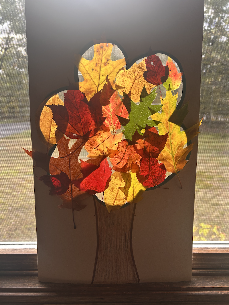 Leafy tree